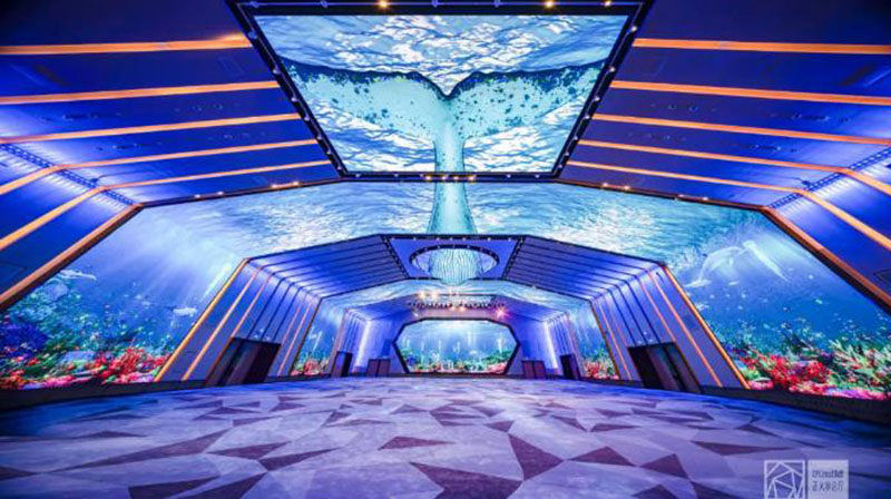 首页|NG大舞台,有梦你就来