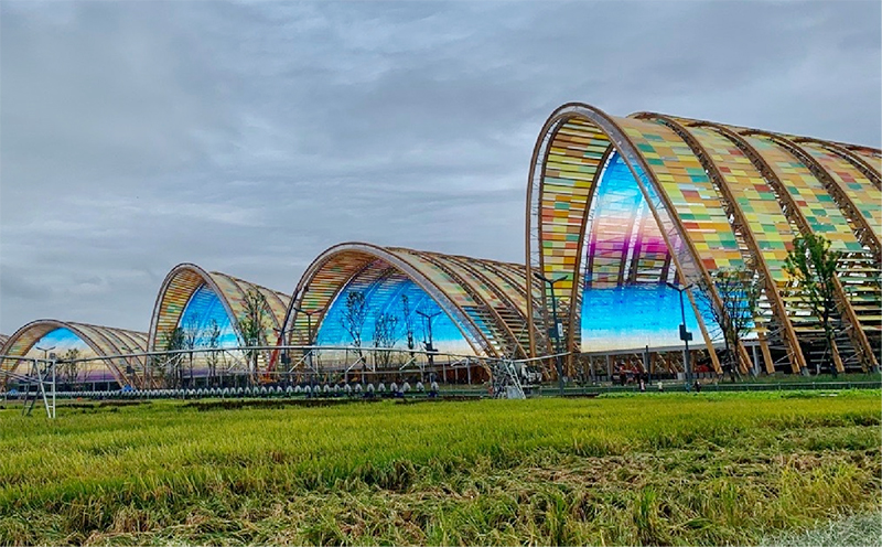 首页|NG大舞台,有梦你就来